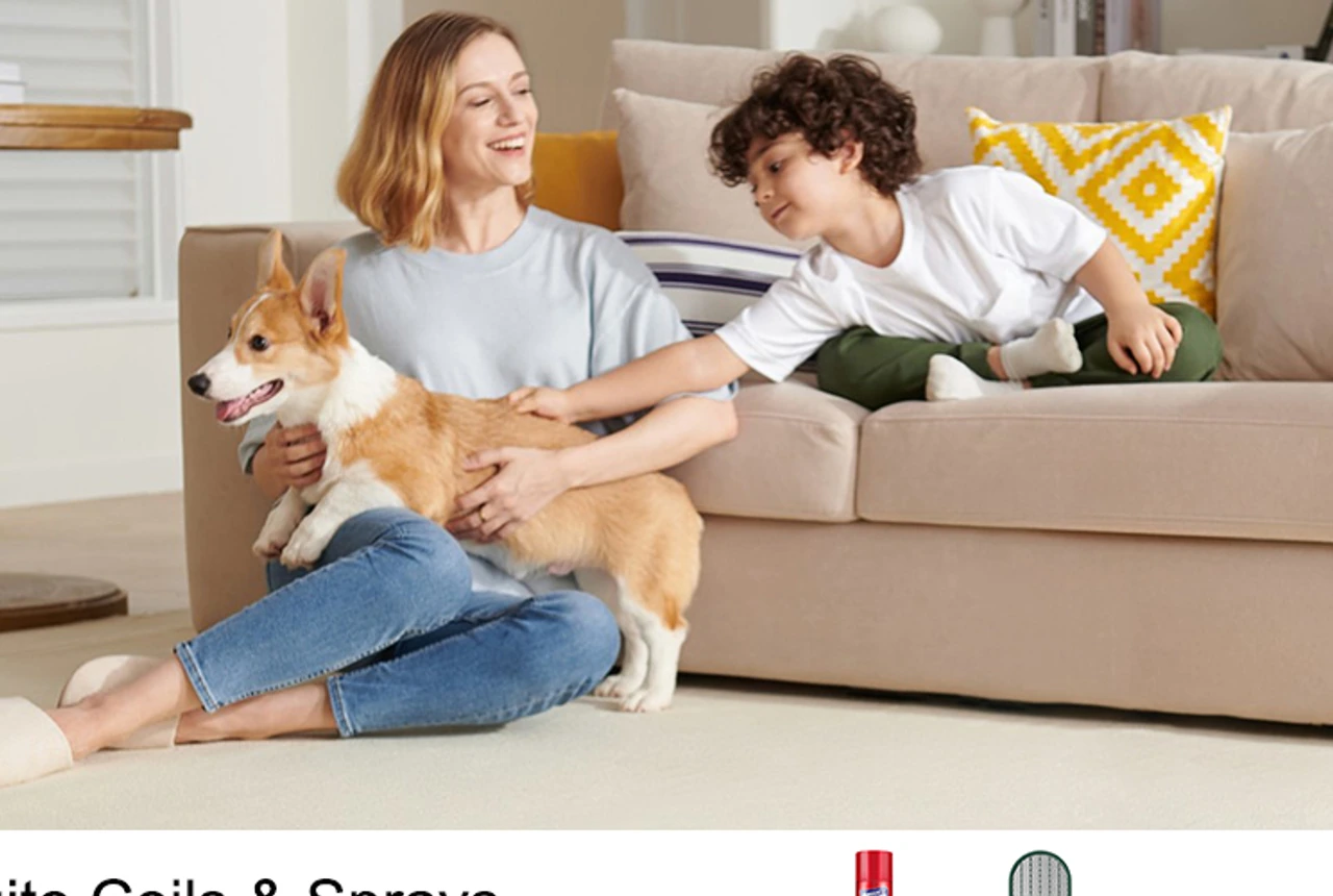 STOGA everyday comfort Canada — m81 decision family room