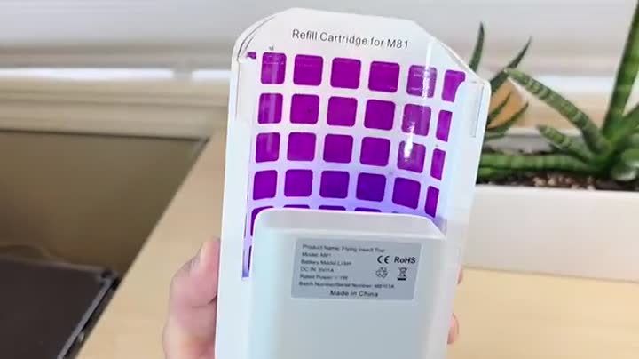 How the curved glue board sits inside.