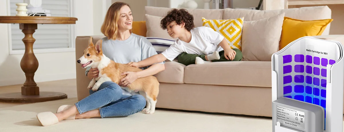 STOGA M81 cordless small-fly trap in a family living room